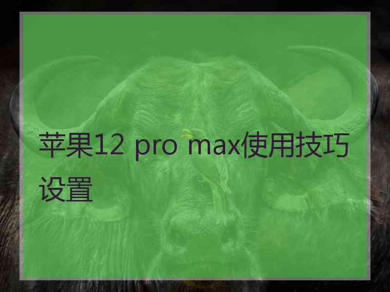 苹果12 pro max使用技巧设置