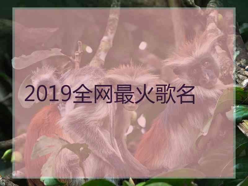 2019全网最火歌名