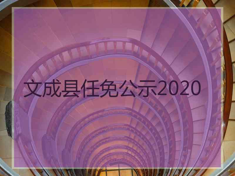 文成县任免公示2020