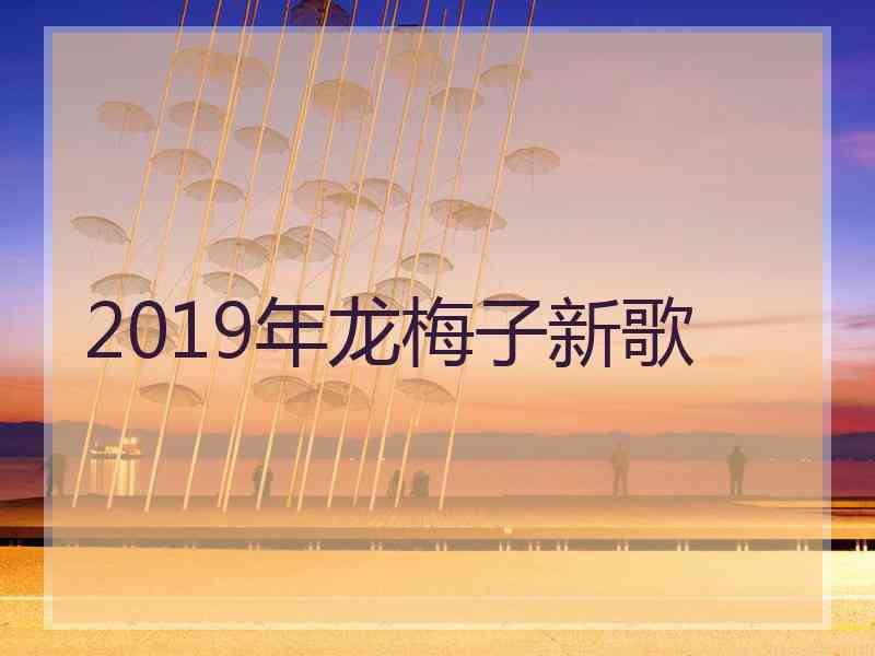 2019年龙梅子新歌