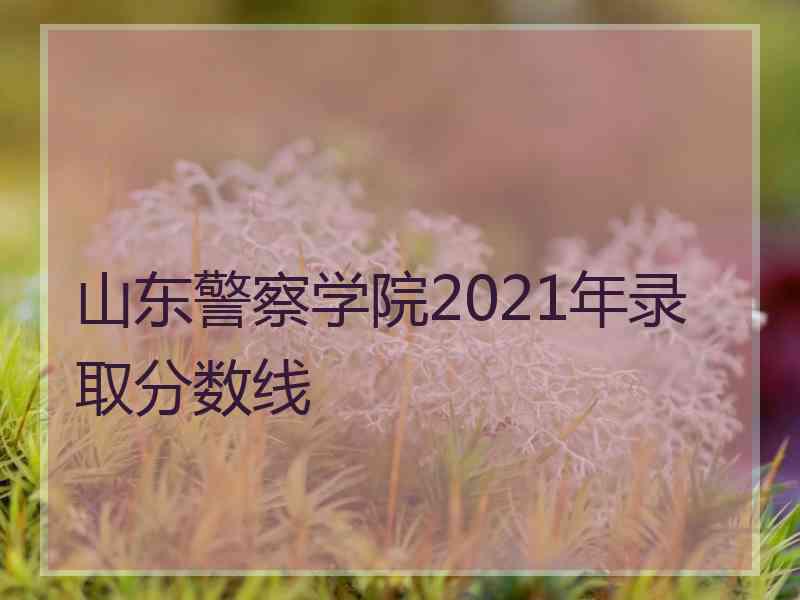 山东警察学院2021年录取分数线