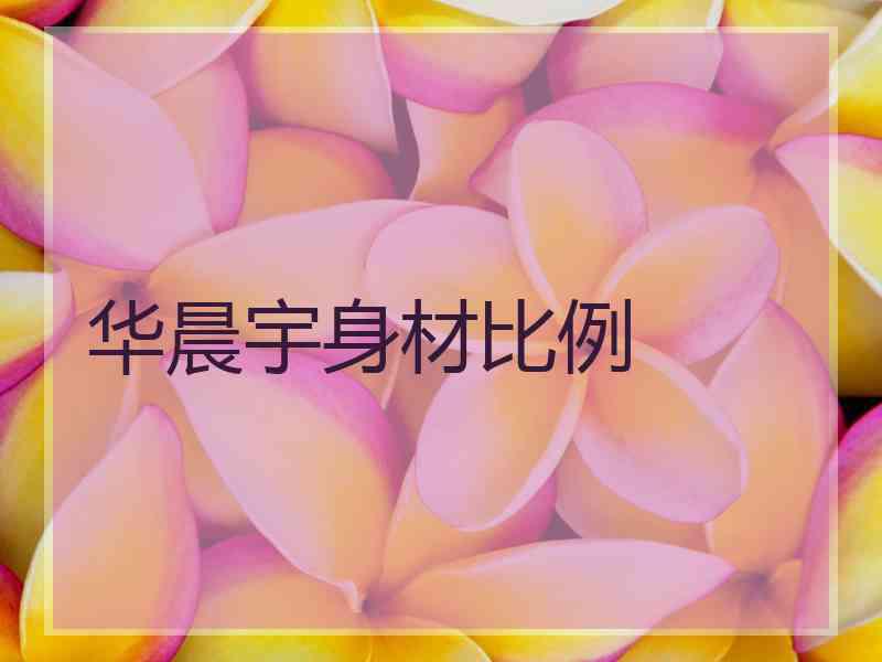 华晨宇身材比例