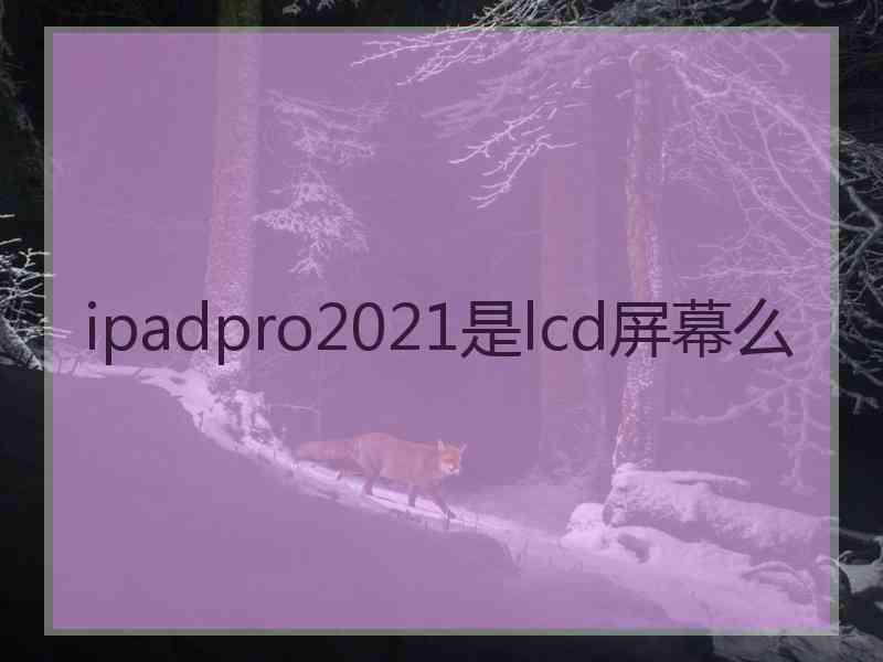 ipadpro2021是lcd屏幕么