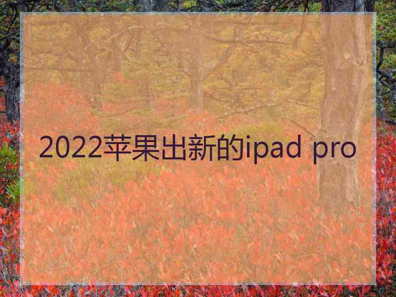 2022苹果出新的ipad pro