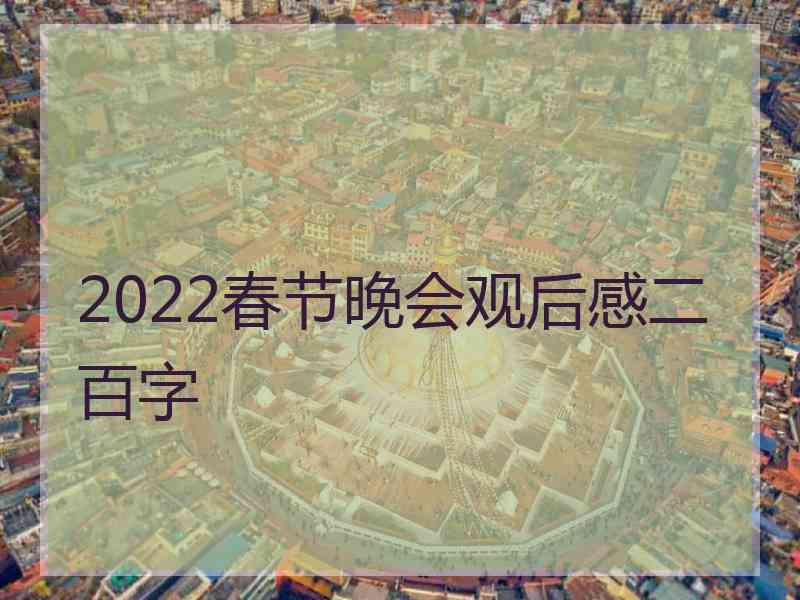 2022春节晚会观后感二百字