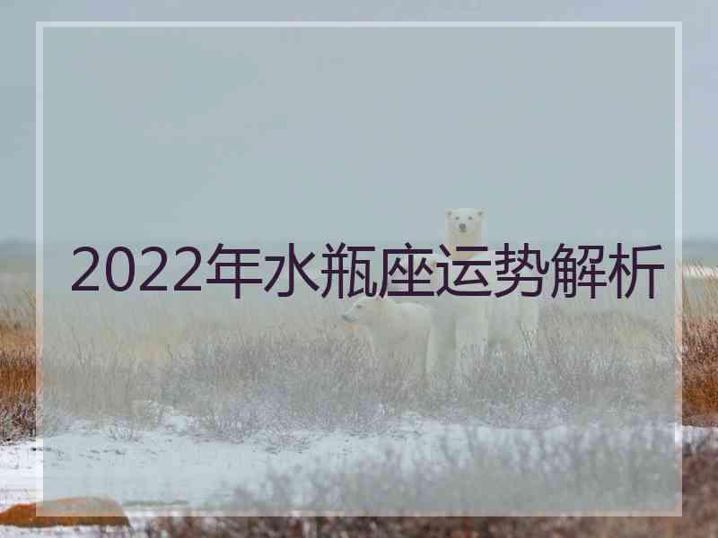 2022年水瓶座运势解析