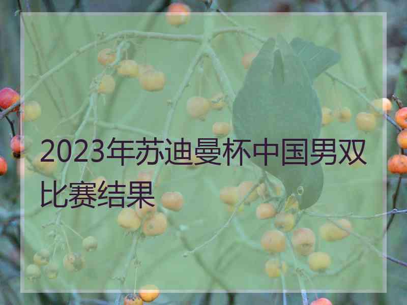 2023年苏迪曼杯中国男双比赛结果