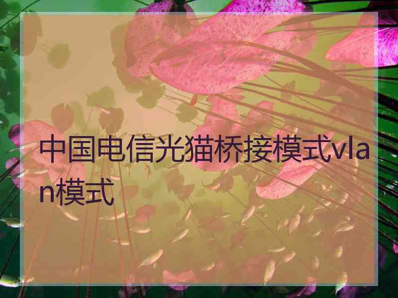 中国电信光猫桥接模式vlan模式