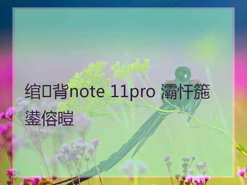 绾㈢背note 11pro 灞忓箷鍙傛暟