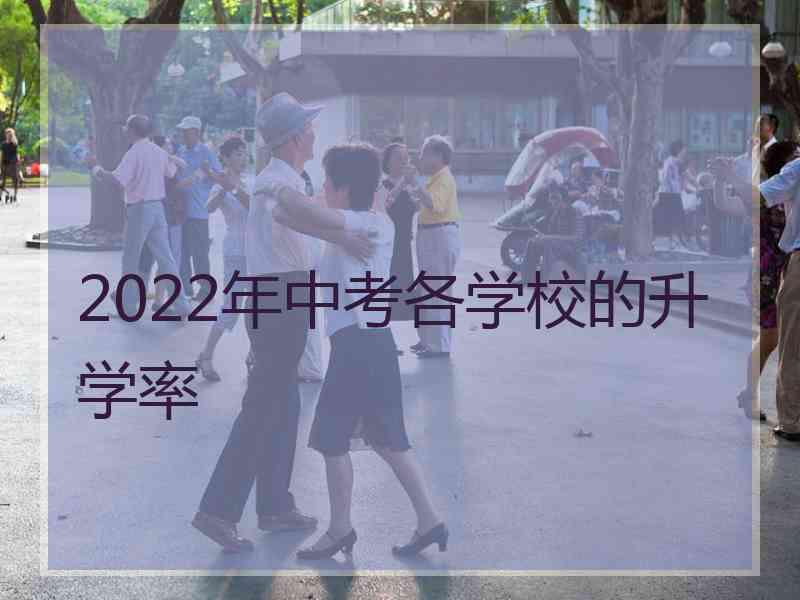 2022年中考各学校的升学率