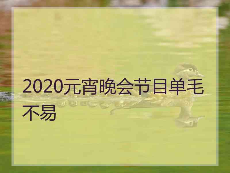 2020元宵晚会节目单毛不易