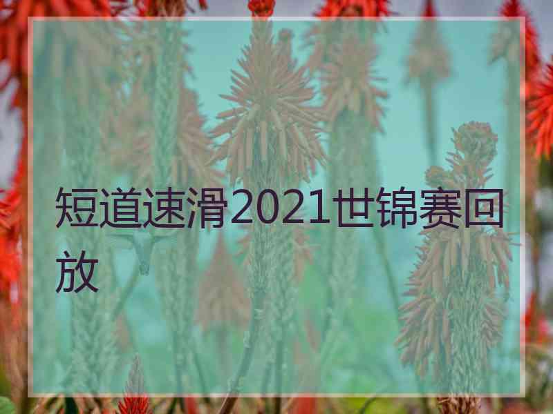 短道速滑2021世锦赛回放