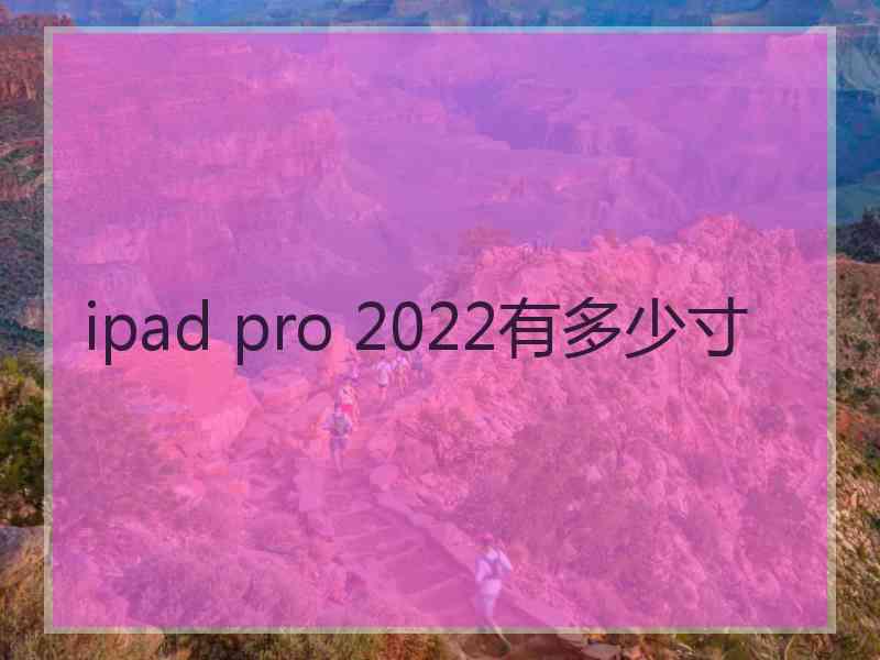 ipad pro 2022有多少寸