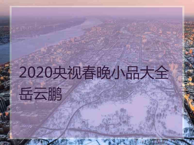 2020央视春晚小品大全岳云鹏