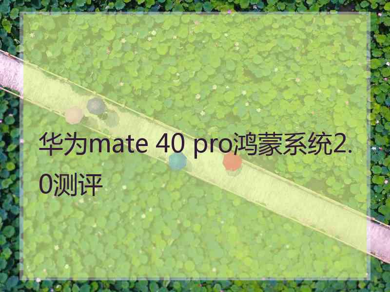 华为mate 40 pro鸿蒙系统2.0测评