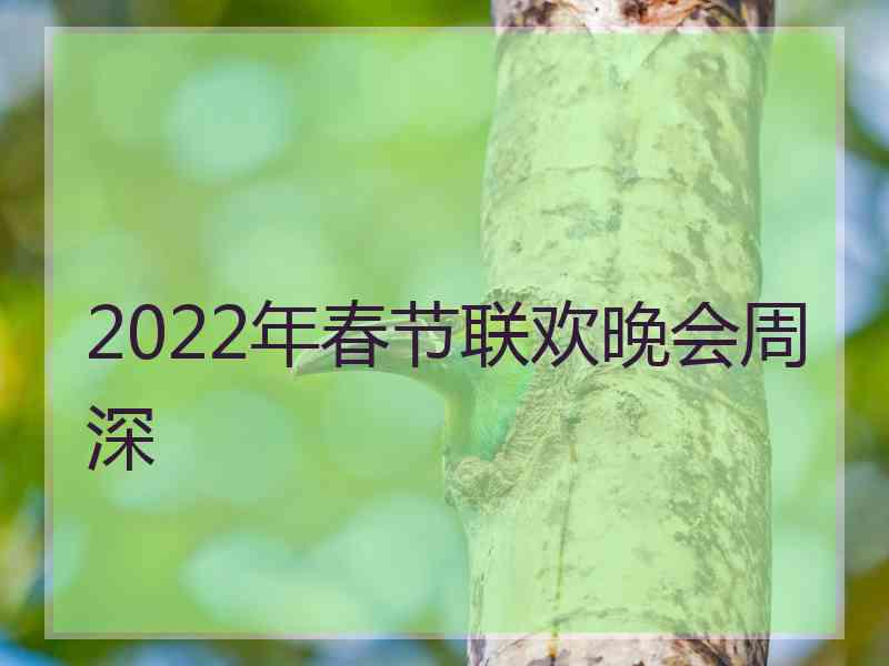 2022年春节联欢晚会周深