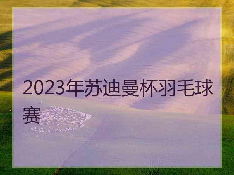 2023年苏迪曼杯羽毛球赛