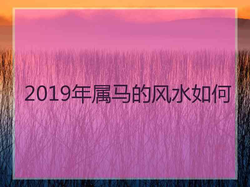 2019年属马的风水如何