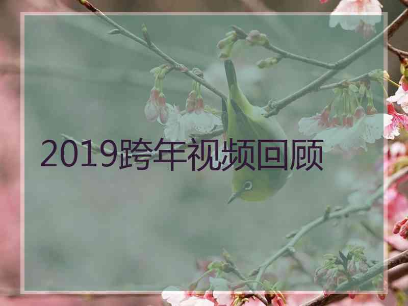 2019跨年视频回顾