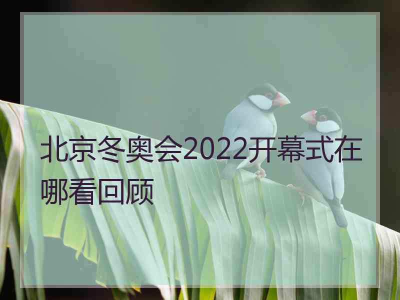 北京冬奥会2022开幕式在哪看回顾