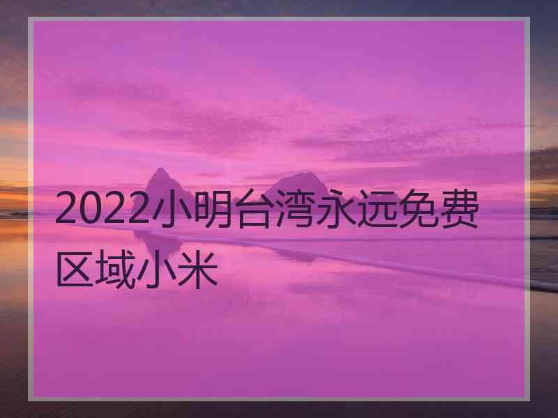 2022小明台湾永远免费区域小米