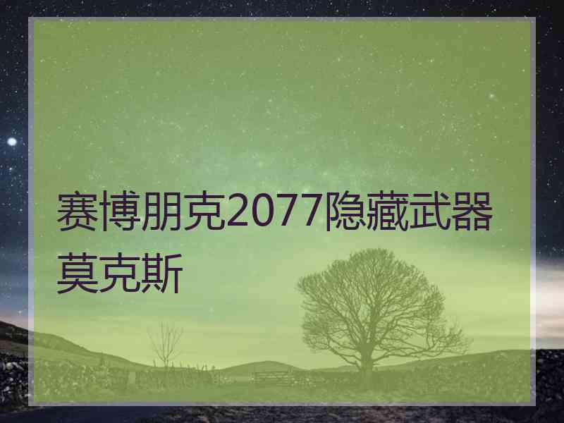 赛博朋克2077隐藏武器莫克斯