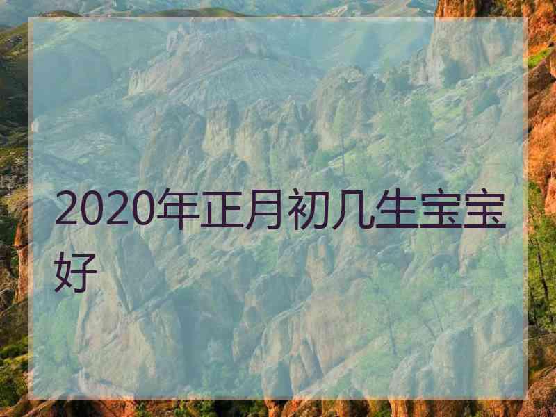 2020年正月初几生宝宝好