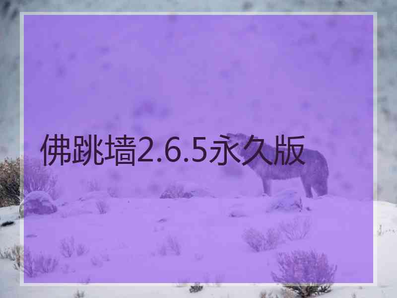 佛跳墙2.6.5永久版