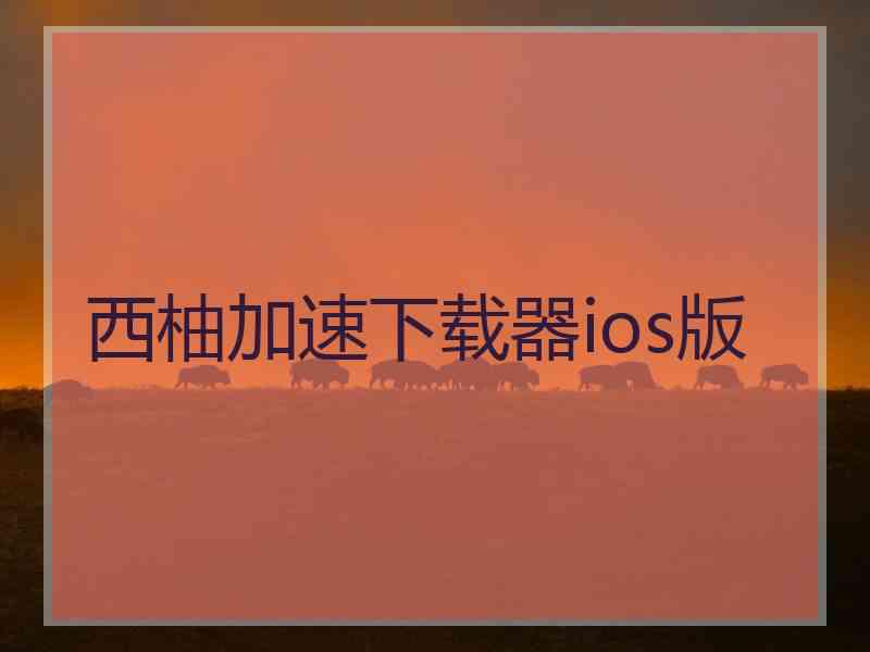 西柚加速下载器ios版