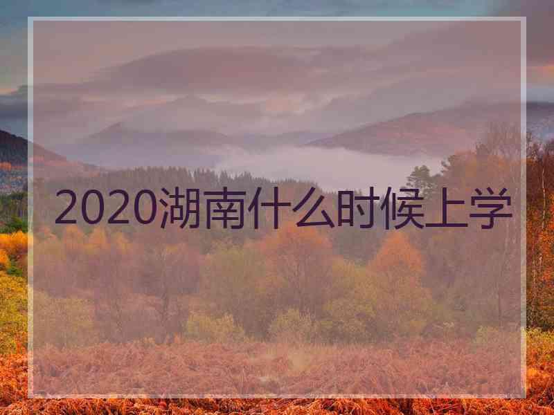 2020湖南什么时候上学