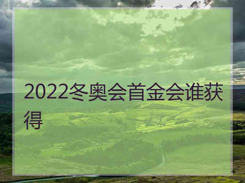 2022冬奥会首金会谁获得