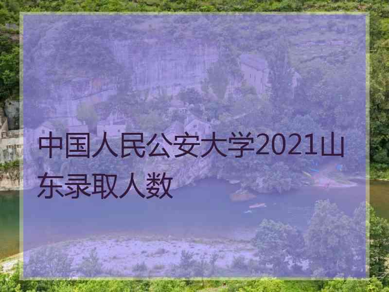 中国人民公安大学2021山东录取人数