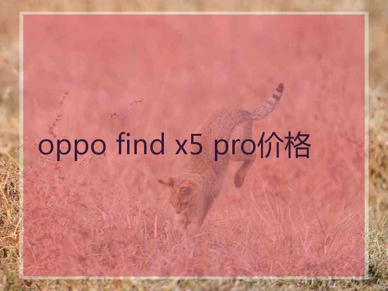 oppo find x5 pro价格