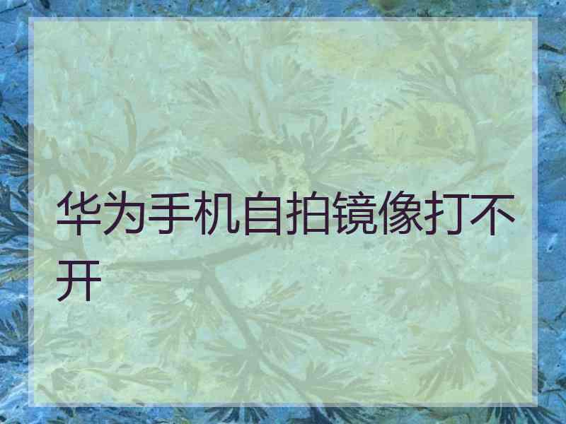 华为手机自拍镜像打不开