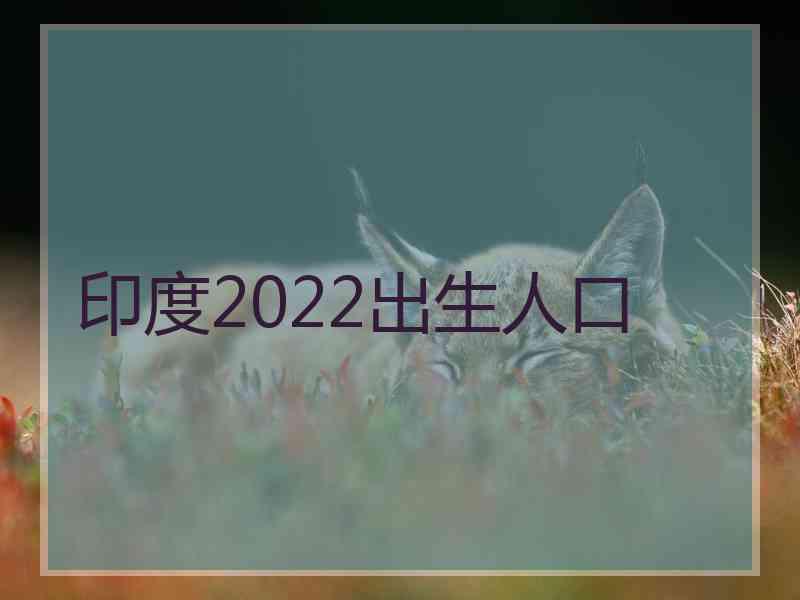 印度2022出生人口