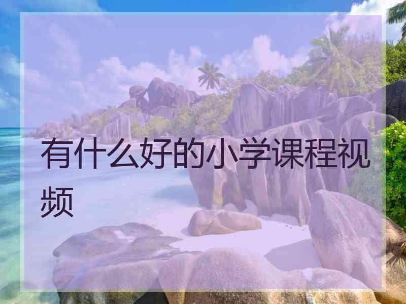 有什么好的小学课程视频