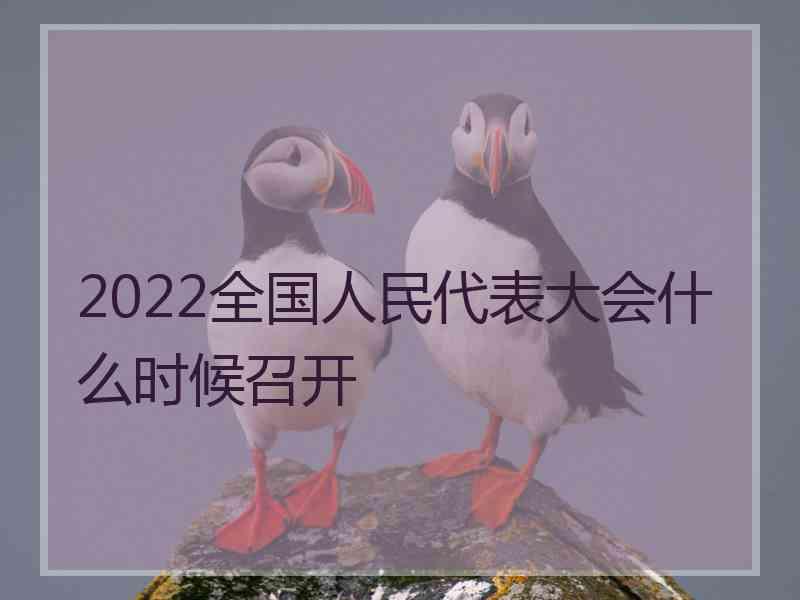 2022全国人民代表大会什么时候召开