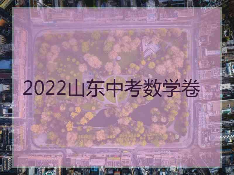 2022山东中考数学卷