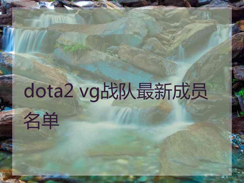 dota2 vg战队最新成员名单