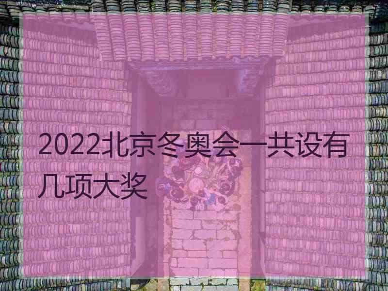 2022北京冬奥会一共设有几项大奖