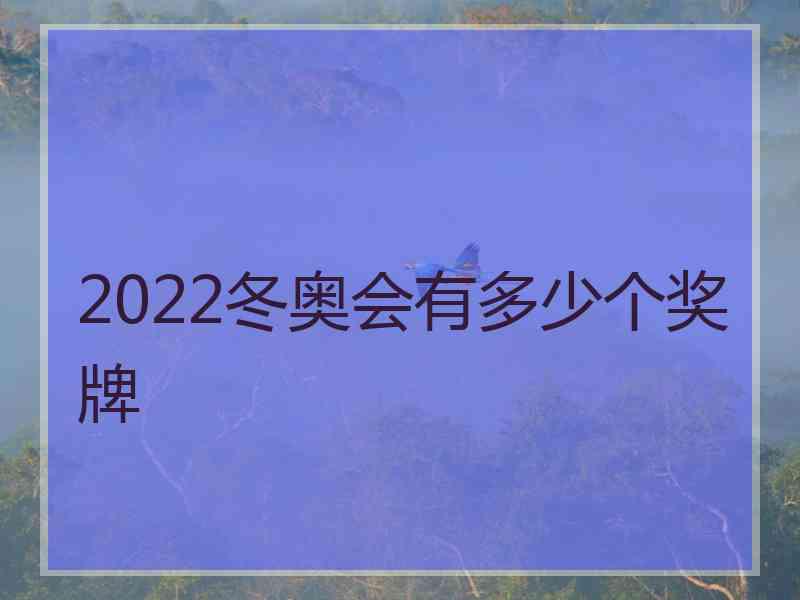 2022冬奥会有多少个奖牌