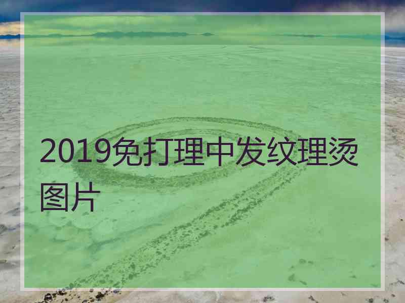 2019免打理中发纹理烫图片