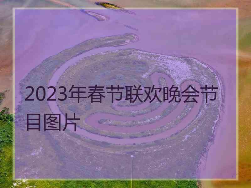 2023年春节联欢晚会节目图片