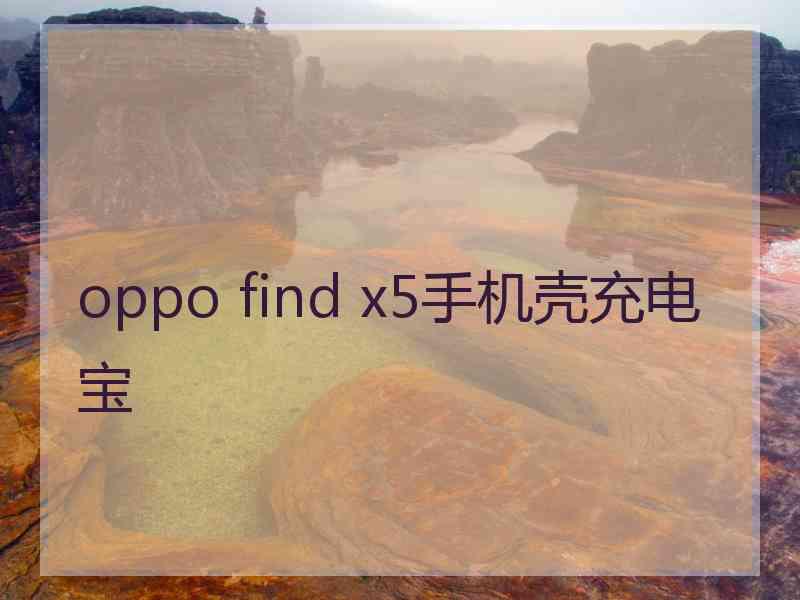 oppo find x5手机壳充电宝