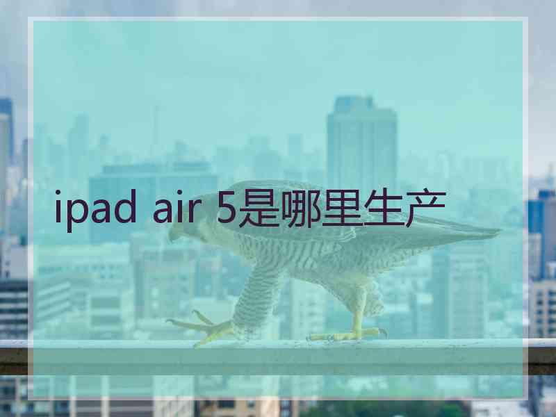 ipad air 5是哪里生产