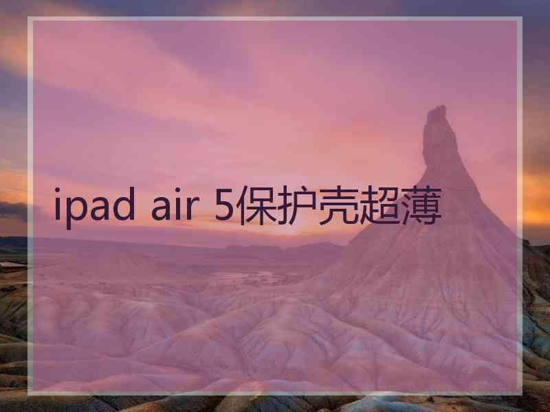 ipad air 5保护壳超薄