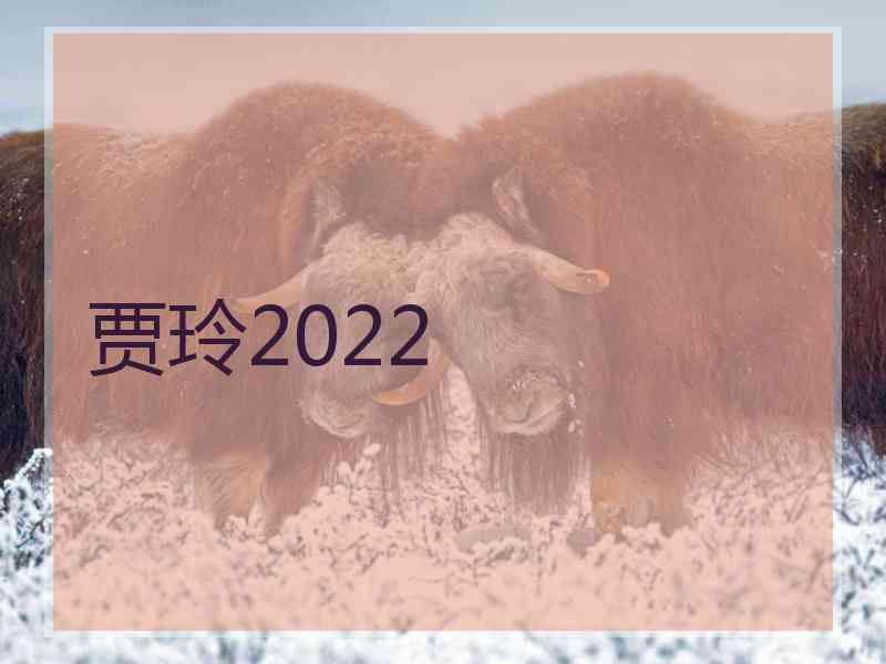 贾玲2022