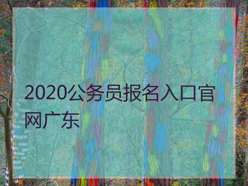 2020公务员报名入口官网广东