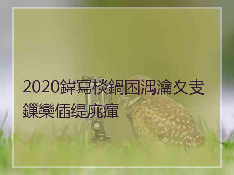 2020鍏冩棪鍋囨湡瀹夊叏鏁欒偛缇庣瘒