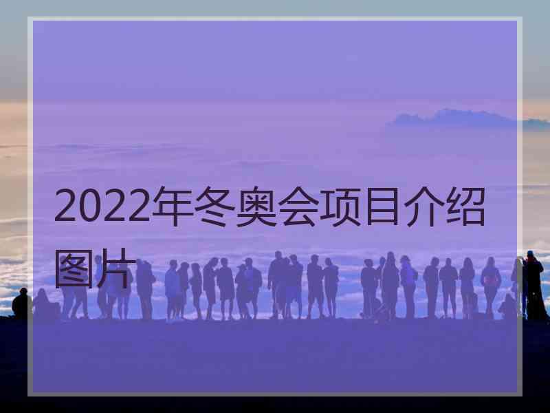 2022年冬奥会项目介绍图片